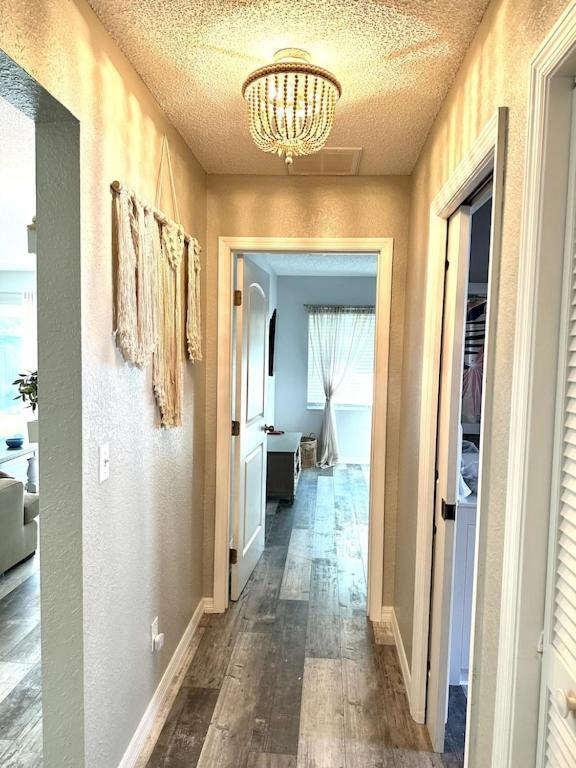 Villa Maria Salt Sun 7 Minutes To Indian Rocks Beach 라르고 외부 사진